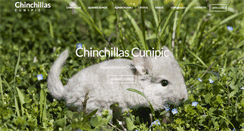 Desktop Screenshot of chinchillasmascotas.com