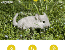 Tablet Screenshot of chinchillasmascotas.com